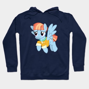 Flying Windy Whistles Hoodie